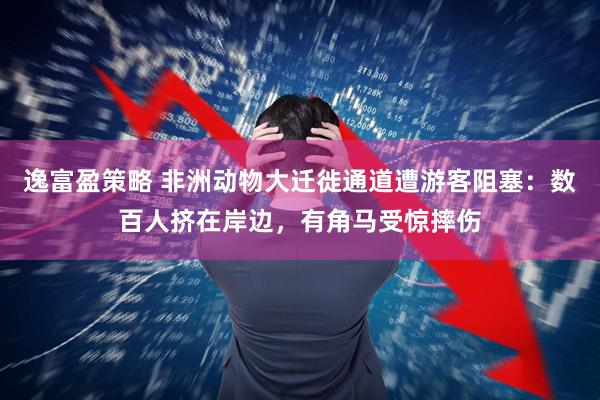 逸富盈策略 非洲动物大迁徙通道遭游客阻塞：数百人挤在岸边，有角马受惊摔伤