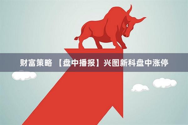 财富策略 【盘中播报】兴图新科盘中涨停