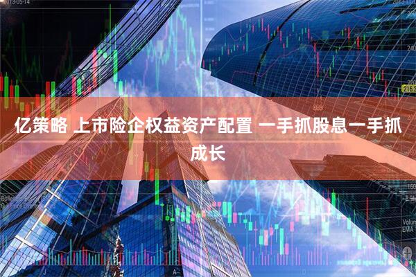 亿策略 上市险企权益资产配置 一手抓股息一手抓成长
