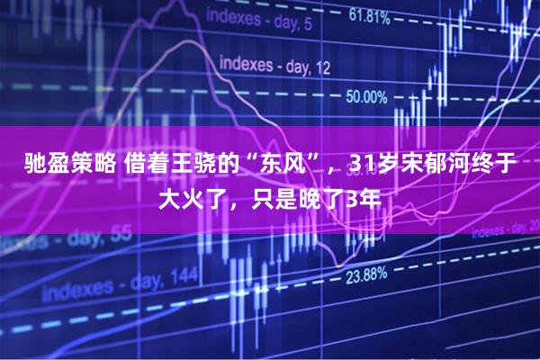 驰盈策略 借着王骁的“东风”，31岁宋郁河终于大火了，只是晚了3年